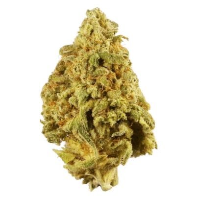 9 Pound Hammer Weed UK