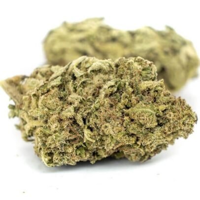 Buy Girl Scout Cookies Strain UK