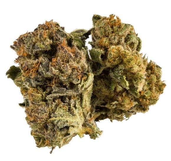 Cannatonic Weed Strain UK