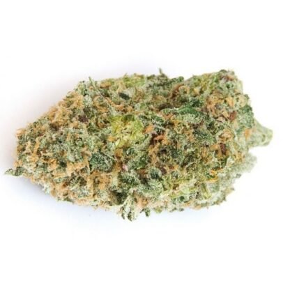 Chocolope Weed Strain UK