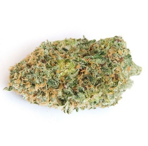 Chocolope Weed Strain UK