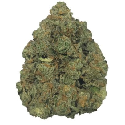 Gary Payton Marijuana UK