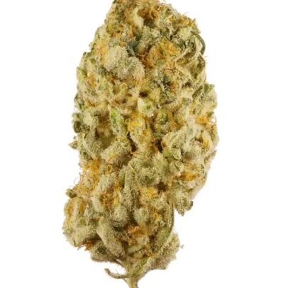 Jack Herer Weed UK